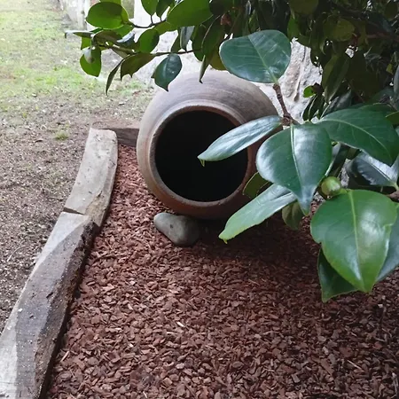 A Casa Da Rianxeira Сasa de vacaciones