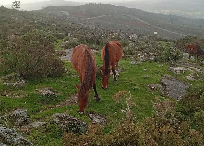 A Casa Da Rianxeira Nyaraló Pobra do Caramiñal