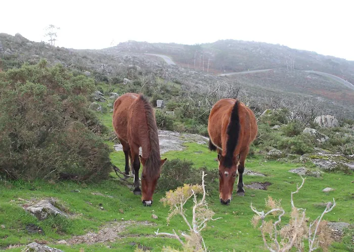 A Casa Da Rianxeira Nyaraló